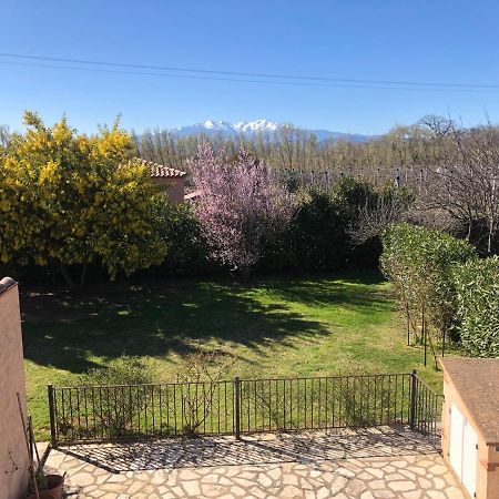 Au Mimosa -Gite Le Canigou Passa 外观 照片