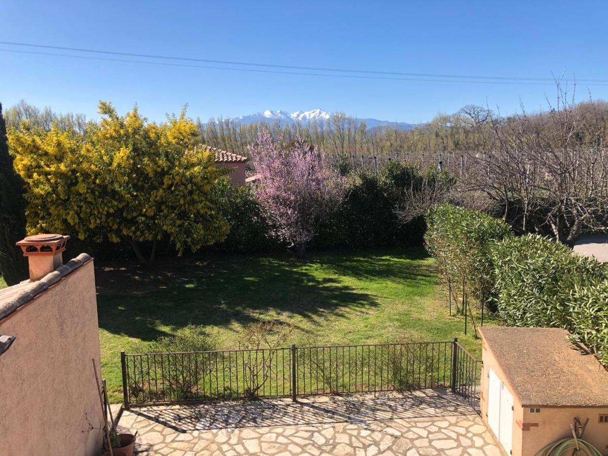Au Mimosa -Gite Le Canigou Passa 外观 照片